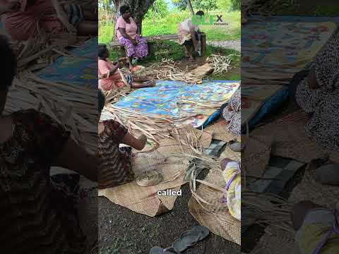 Protecting Vanuatu’s ancestral lands | GLFx Vanuatu