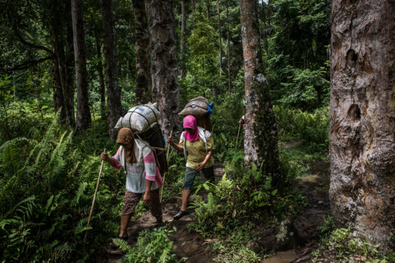 Two women carry sacks of resin through a forest in Lampung, Indonesia.