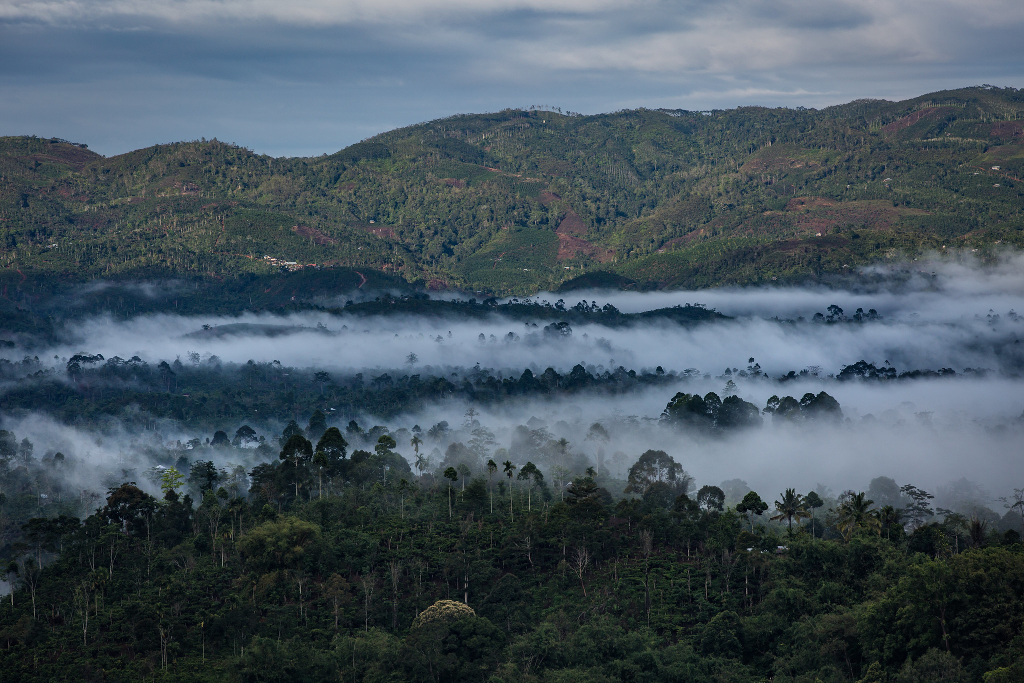 Aerial view of mist over a forested and agroforestry landscape in Lampung, Indonesia