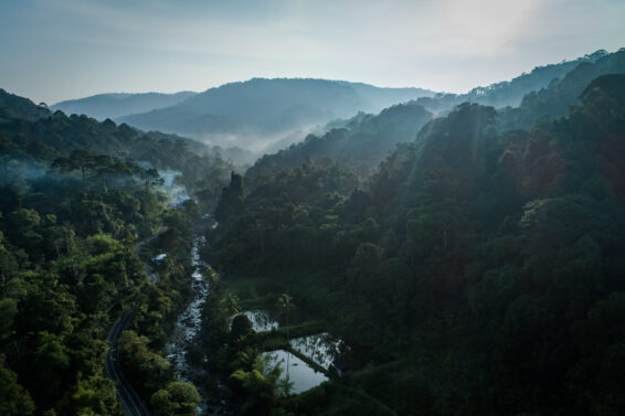 Aerial view of a forested valley with a river running through it in Lampung, Indonesia