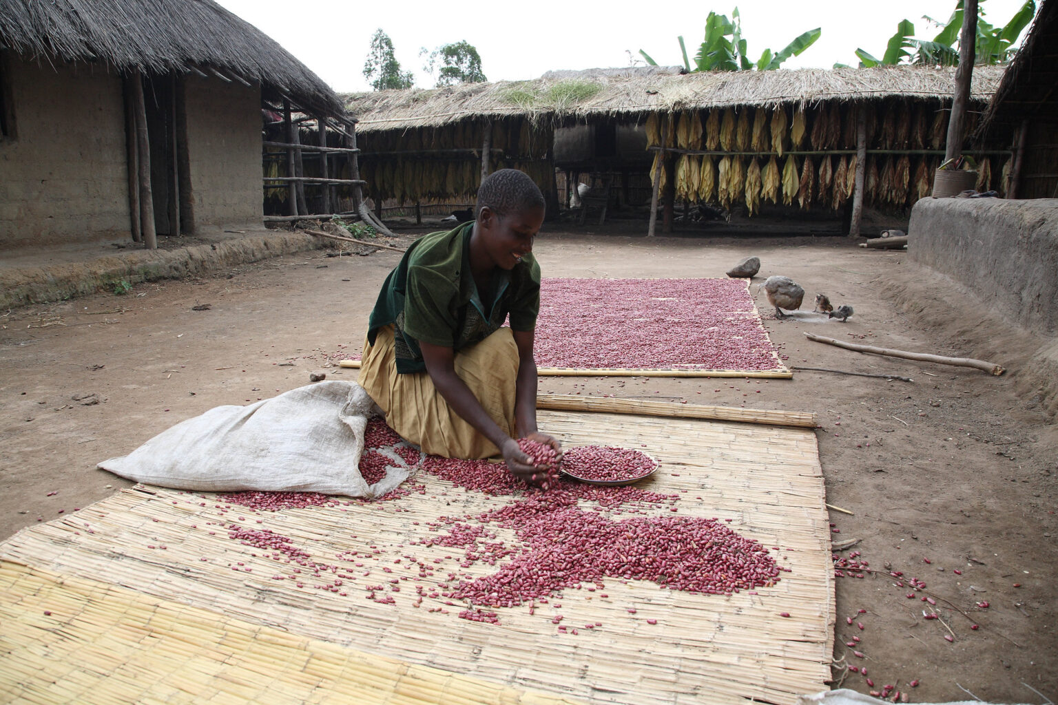 Malawi: Why conservation success hinges on rural livelihoods ...