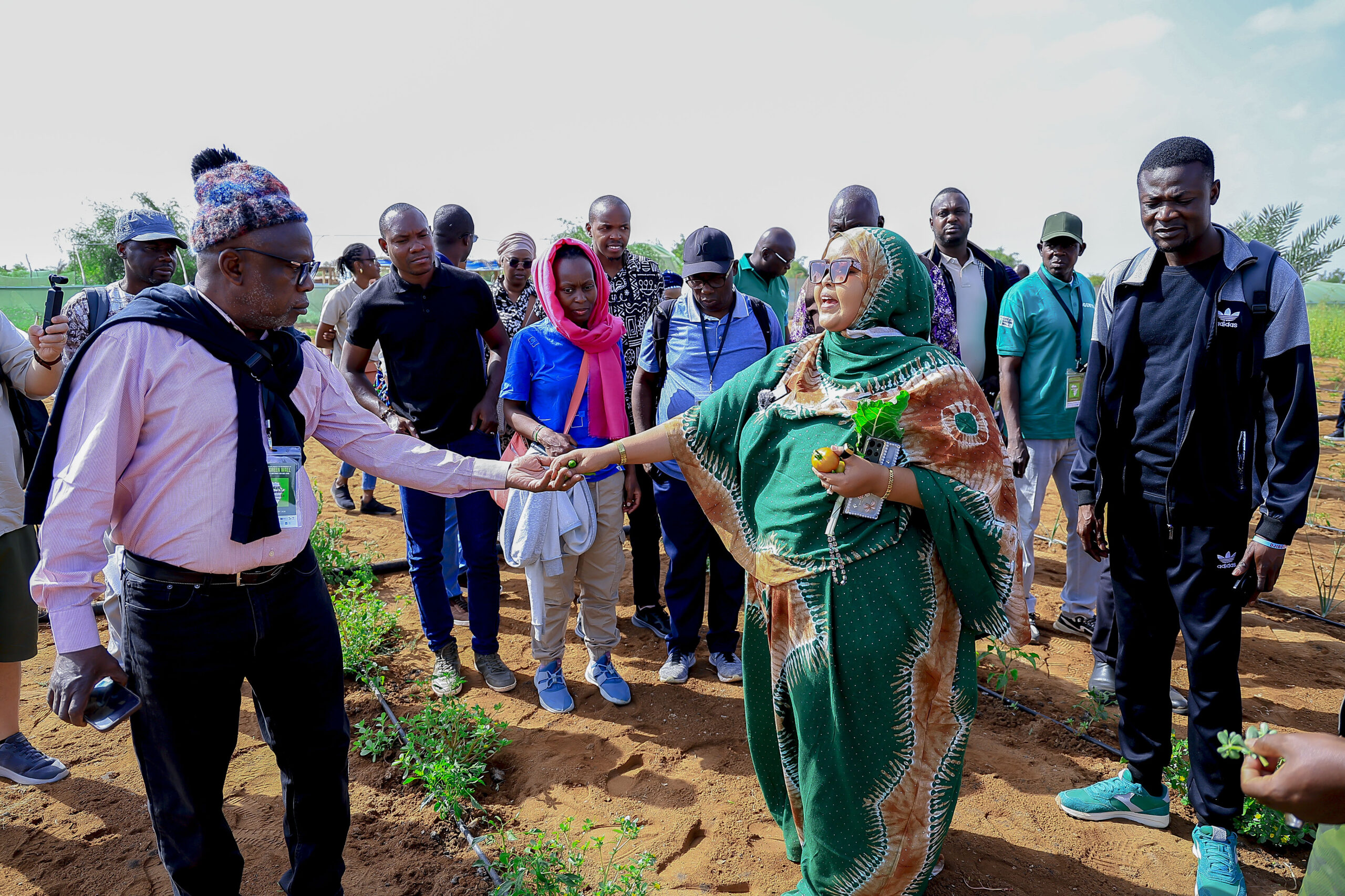 Grande Muraille verte : à Djibouti, l’Afrique se prépare à la COP17