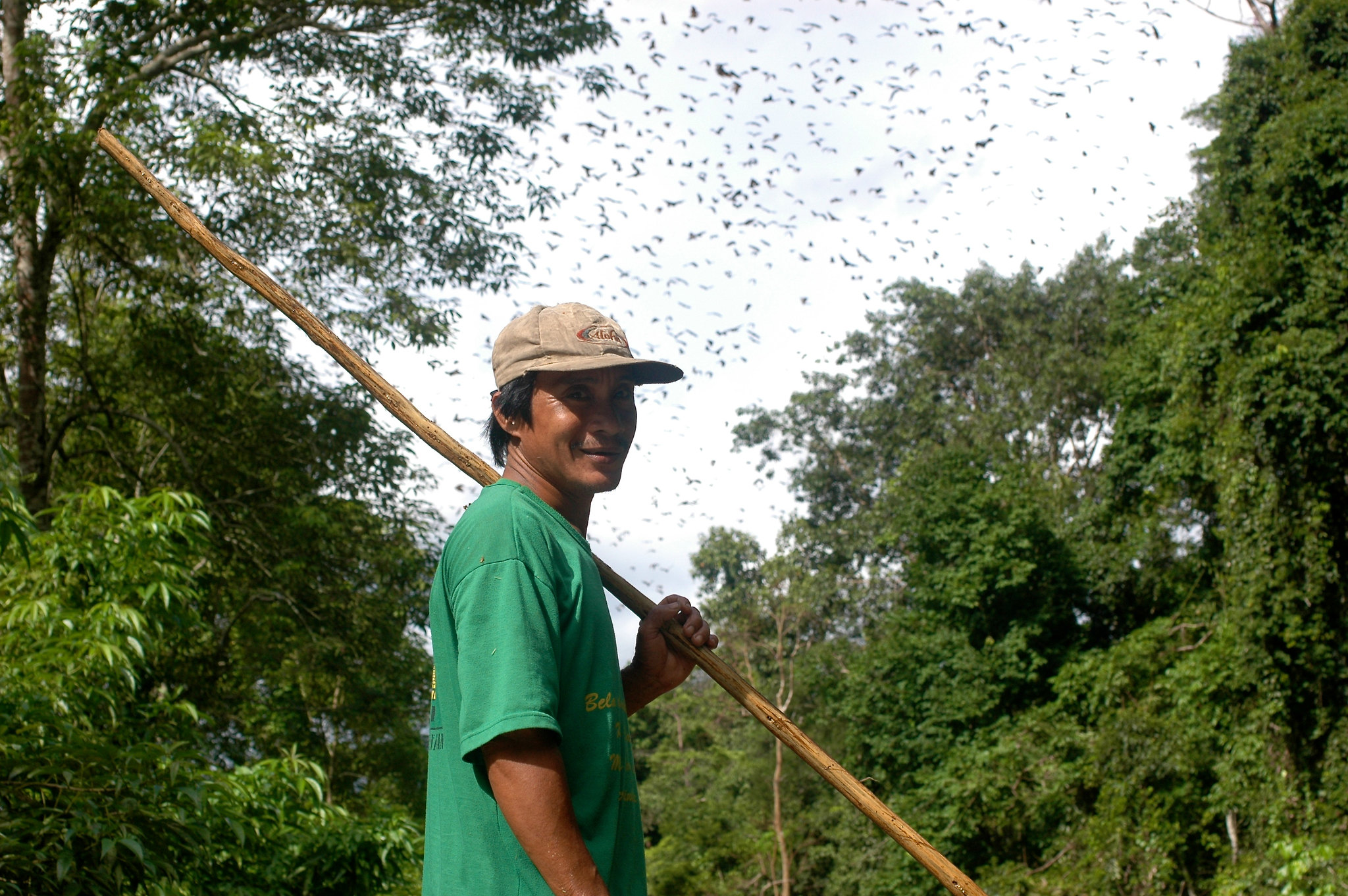 A honey hunter carries a long wooden pole in a forest in East Kalimantan, Indonesia, with bees flying in the background.
