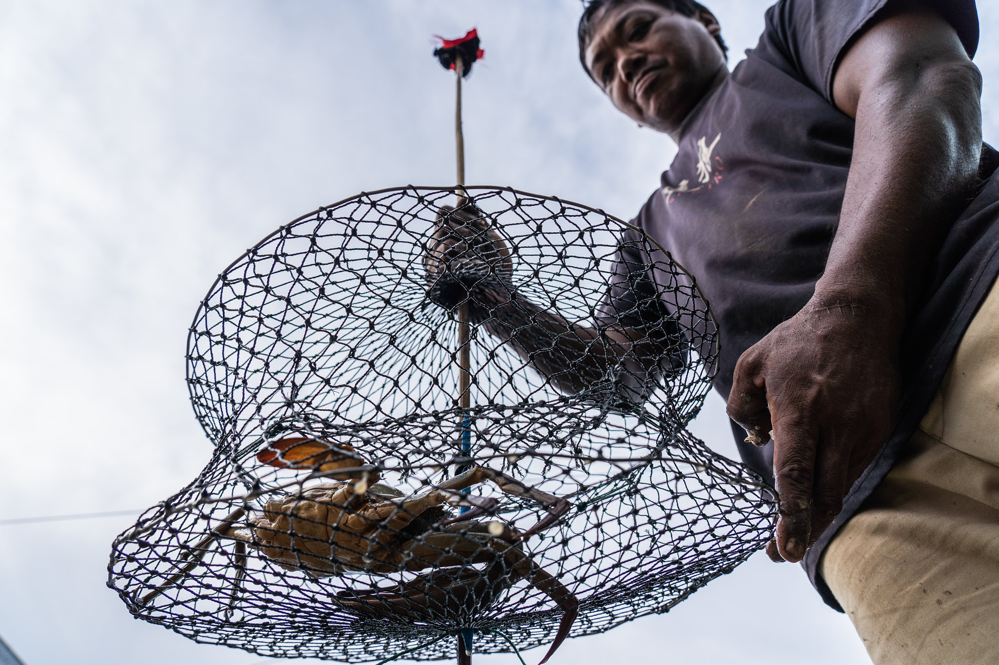 A person holds up a crab in a wire basket in Banyuasin, South Sumatra.