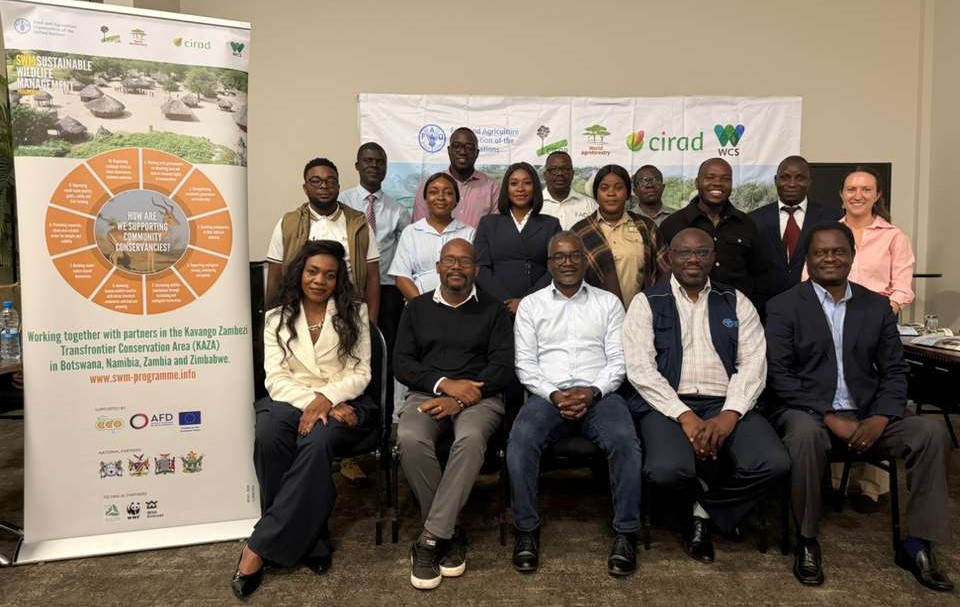 Government representatives, technical experts and partners gather for the SWM Programme Legal Hub technical meeting in Zambia.
