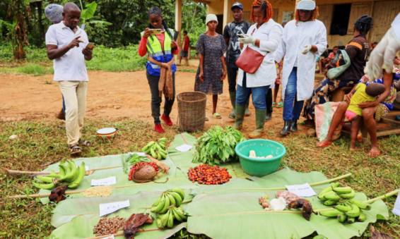 Researchers and community members stand around forest foods and agricultural products displayed on banana leaves.
