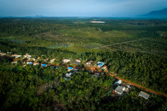Aerial view of a landscape in West Kalimantan, Indonesia, showing patches of tropical forest, oil palm plantations and rural settlements connected by a dirt road.