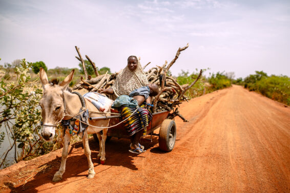 A woman rides in a donkey cart loaded with firewood along a dirt road in a dryland landscape in Burkina Faso.