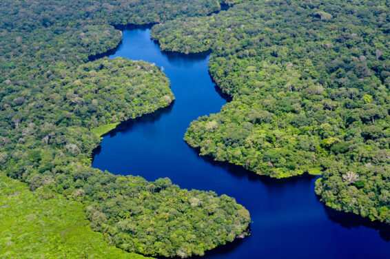 Aerial view of a deep blue river winding through dense green Amazon rainforest near Manaus, Brazil.