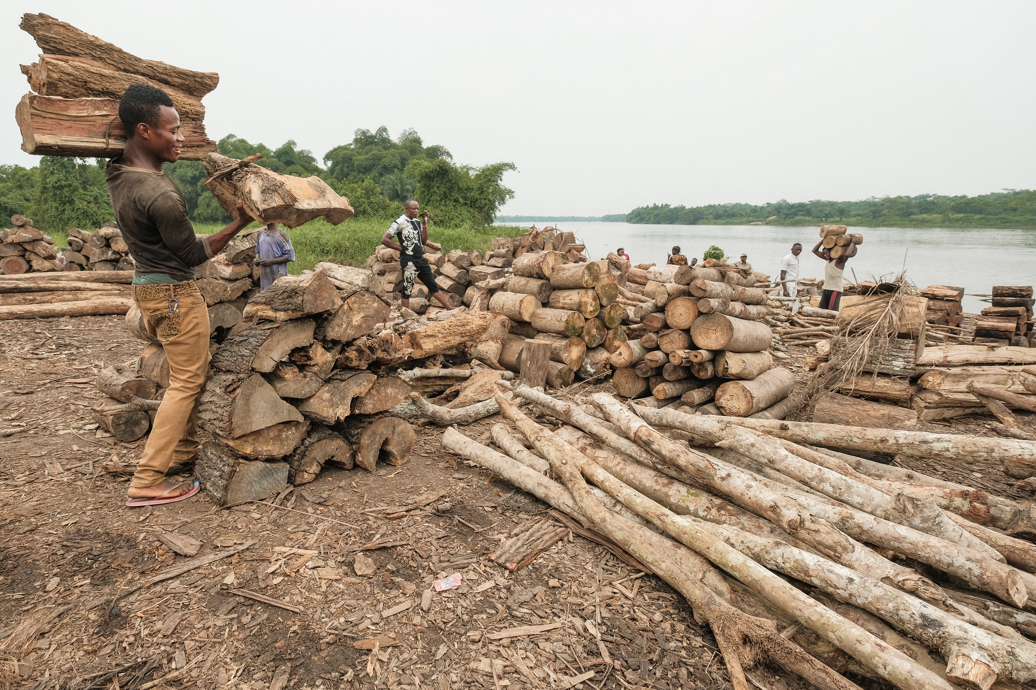 A man carries wood across a timber yard beside a river, with piles of logs and other workers visible in the background in Kisangani, Democratic Republic of the Congo.