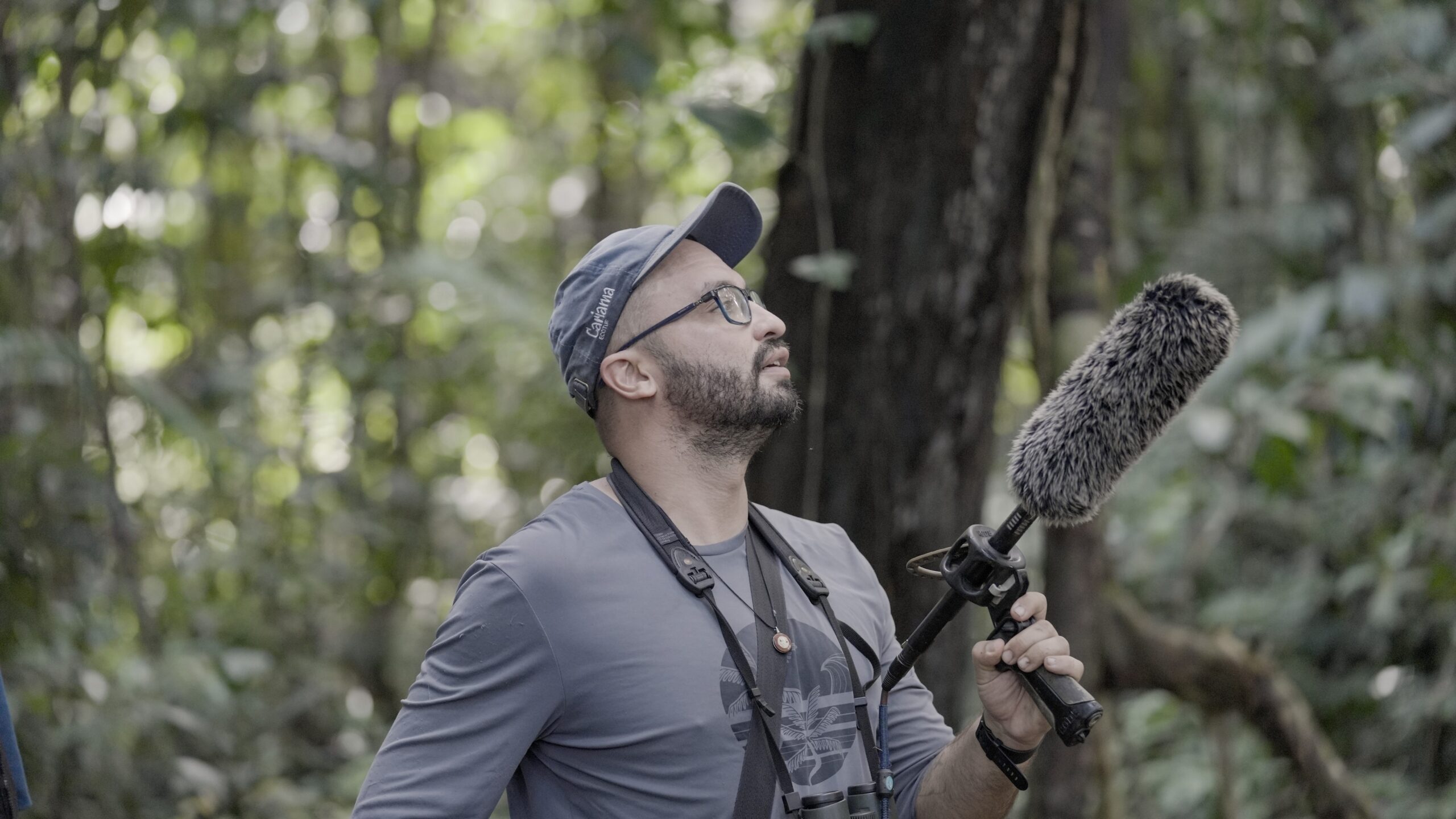 Gabriel Leite looks upward into the forest canopy while holding a directional microphone with a furry windscreen to record wildlife sounds.