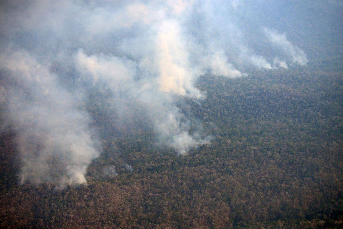 Incendio forestal registrado en 2016 en la cuenca baja del río Ene