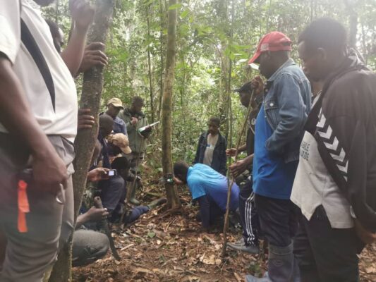 Field agents gathered in a tropical forest in southern Cameroon during a WildMon training session on camera trap installation and biodiversity monitoring.