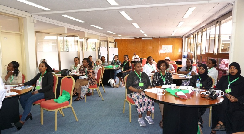 Women forestry and environmental professionals from across Ethiopia participate in a group training session in Addis Ababa.