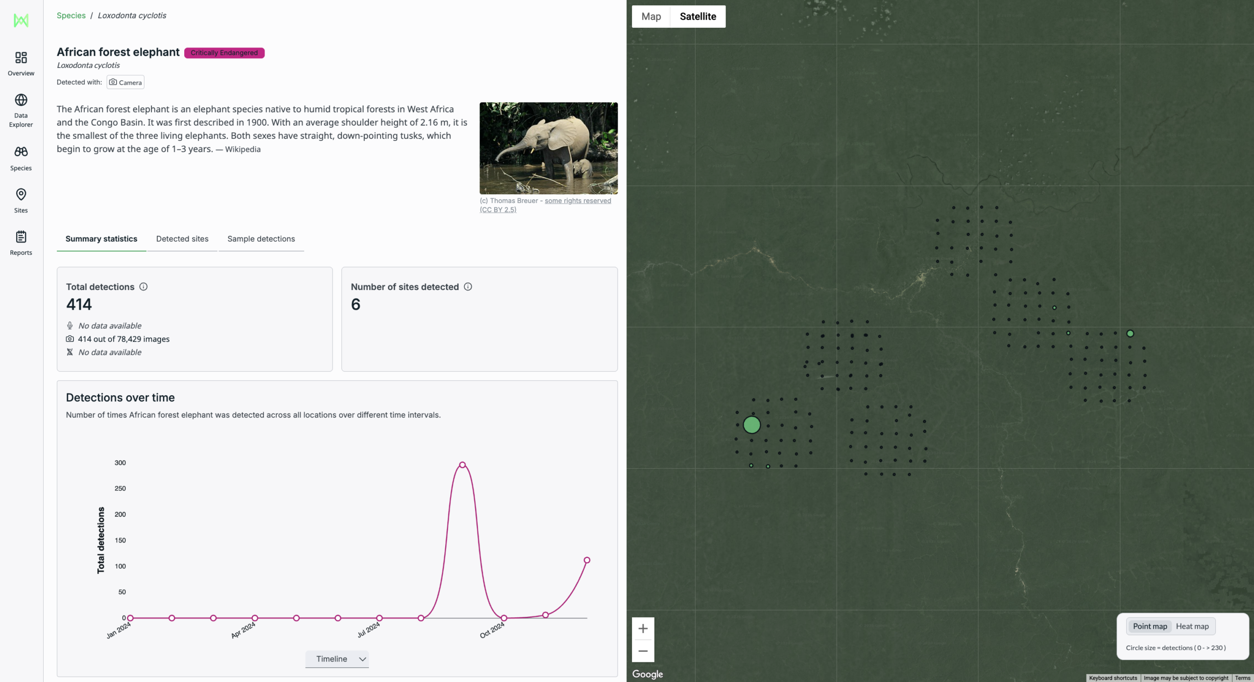 Screenshot of a biodiversity monitoring dashboard showing African forest elephant (Loxodonta cyclotis) detections in Cameroon’s Mintom landscape. The interface displays 414 camera-trap detections across six monitoring sites, a timeline of detections over time and a satellite map indicating where elephants were recorded.