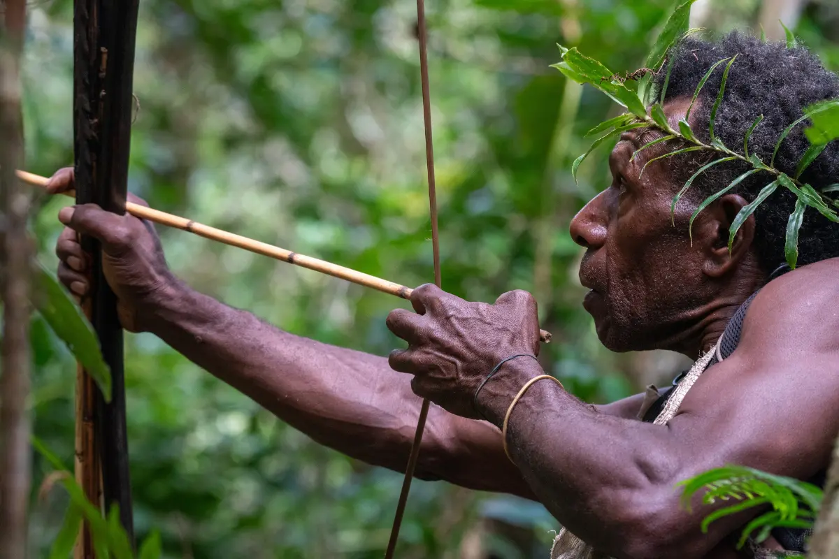A traditional hunter wearing a leafy headpiece aims a bow and arrow in the rainforest of Papua New Guinea, illustrating customary hunting practices.