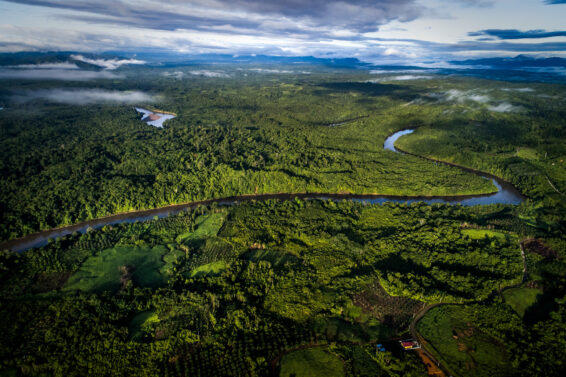 A river winding through forest and cultivated land in Buluq Sen, East Kalimantan.