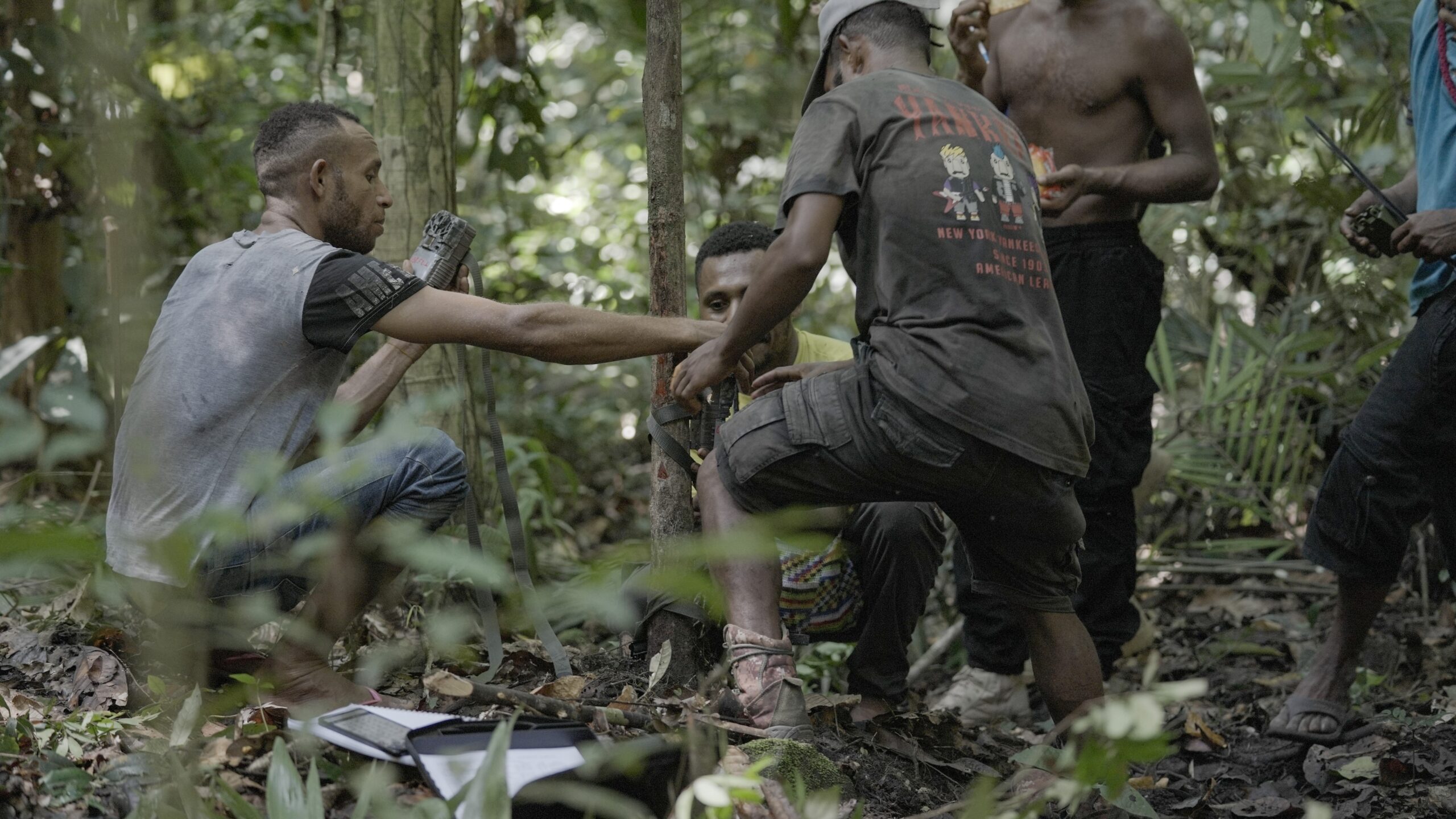 Three men crouch low on the leafy forest floor, focusing intently as they adjust and strap a camouflaged camera trap to a thin tree trunk amidst dense undergrowth.