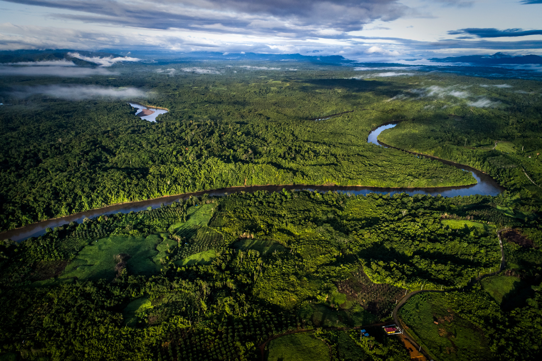 Más allá del carbono: la gobernanza es clave para el éxito del REDD+ jurisdiccional