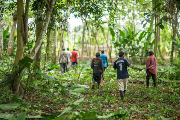 People walk through a forested agroforestry farm in Cashiboya, Loreto, Peru.