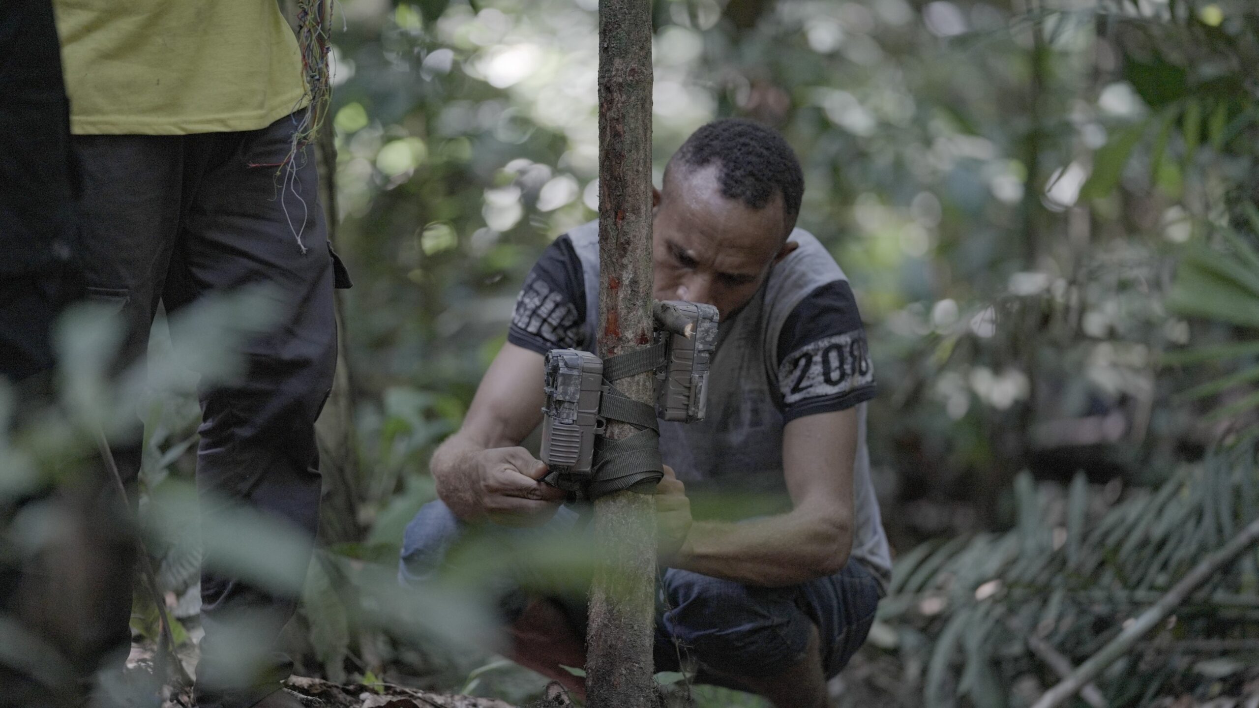 A Biodiversity Team Leader secures a camera trap to a tree during a wildlife monitoring survey in Papua New Guineaโs Managalas Conservation Area.