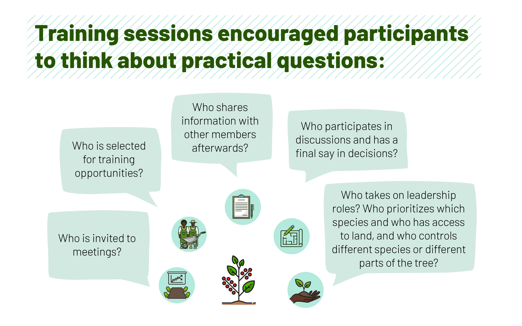 Graphic listing questions about who attends meetings and training, shares information, influences decisions, leads, chooses tree species and controls land and tree products.