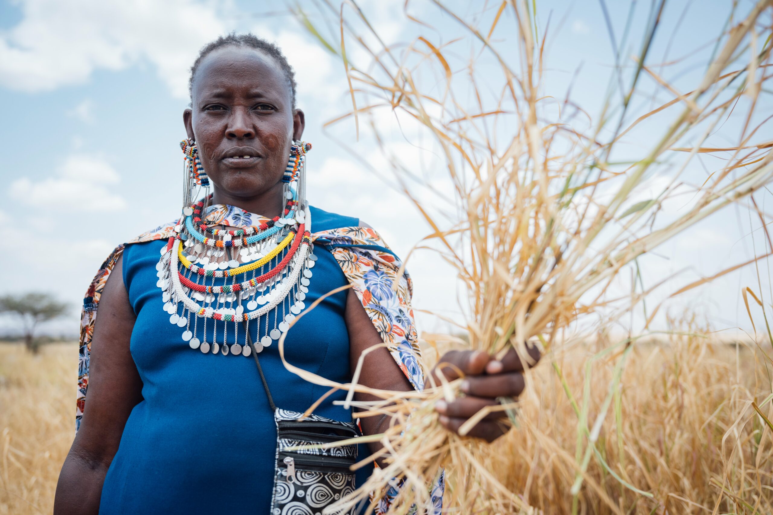 A woman wearing colourful beaded jewellery holds a handful of dry grass.