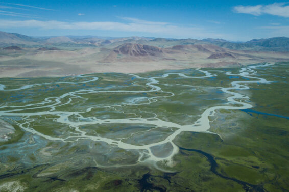 Braided river channels cross a green Mongolian steppe beneath barren mountains.