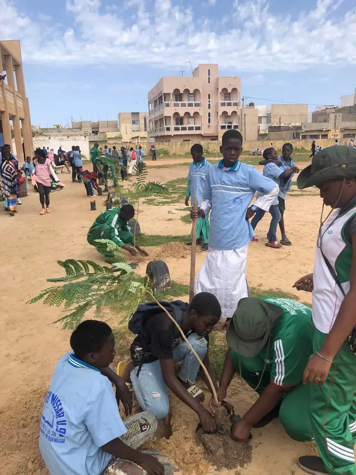 Community members carry young trees and planting tools during a tree-planting activity in an urban neighbourhood.