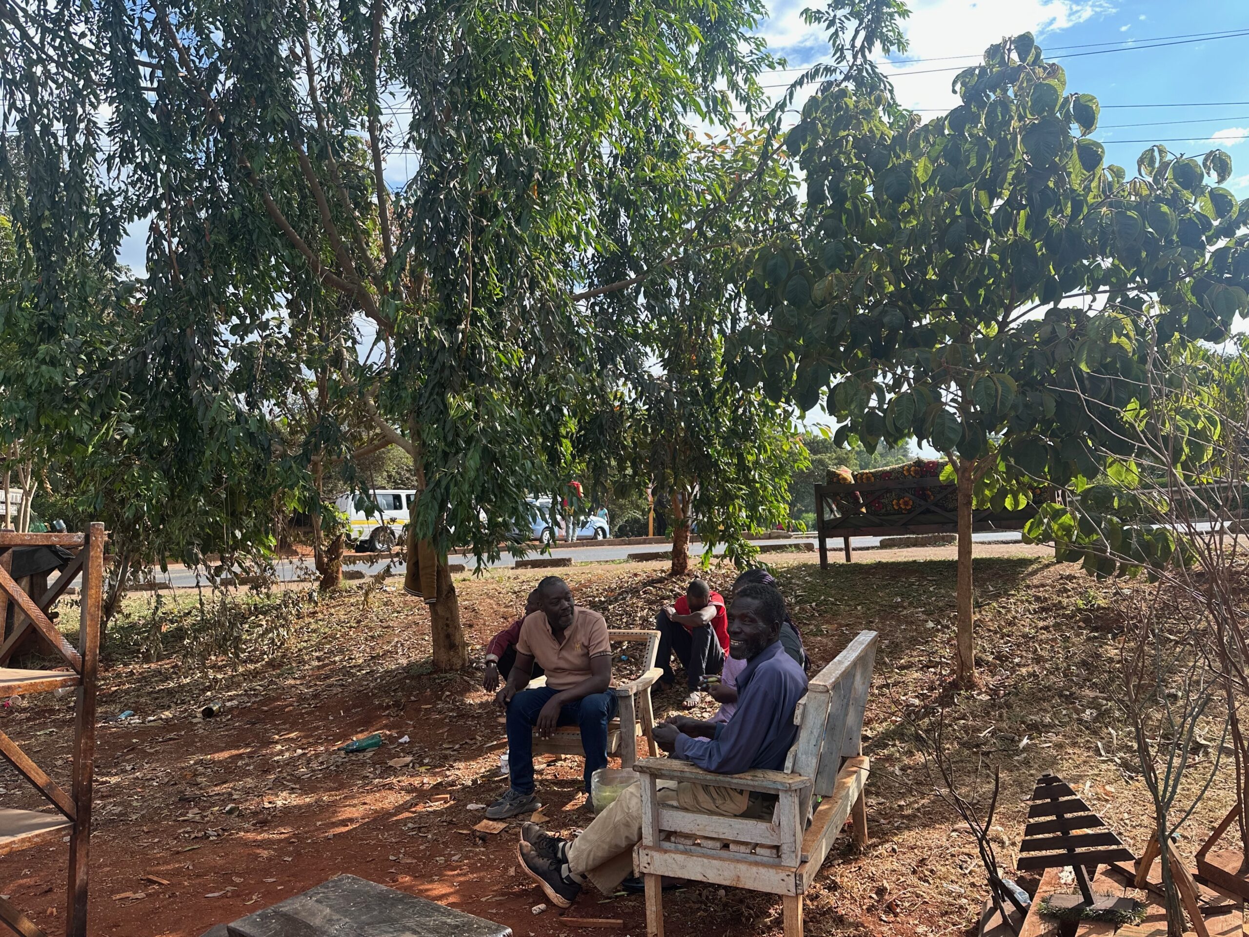 Three men sit on wooden benches beneath mature trees in a planted roadside space along Nairobi’s link road, with the road visible behind them.