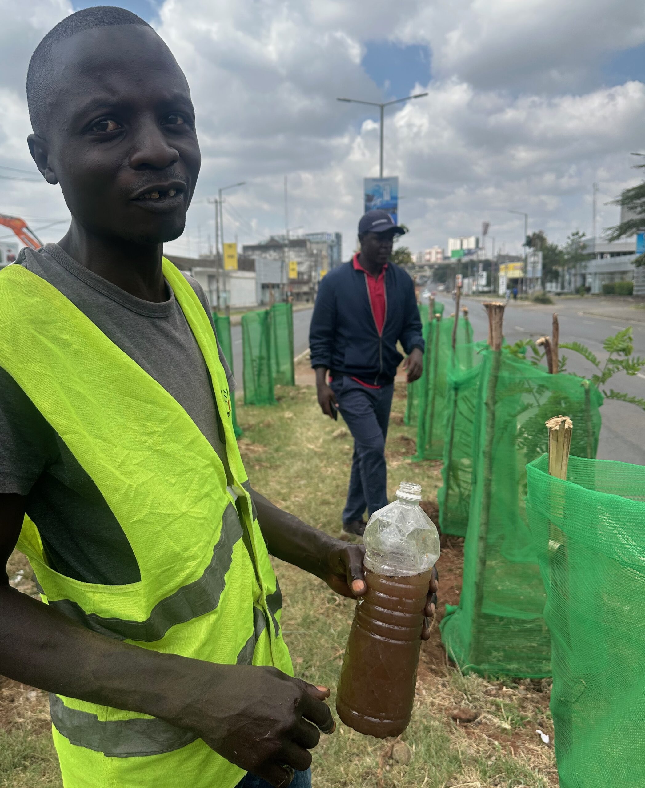A young man in a reflective vest holds a bottle of water beside newly planted trees protected by green mesh along a roadside.