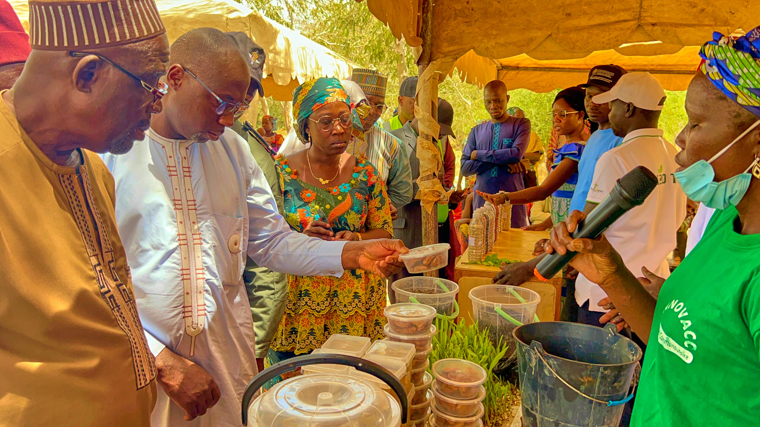 When communities open their doors: Inside Cameroon’s Climate-Smart Villages