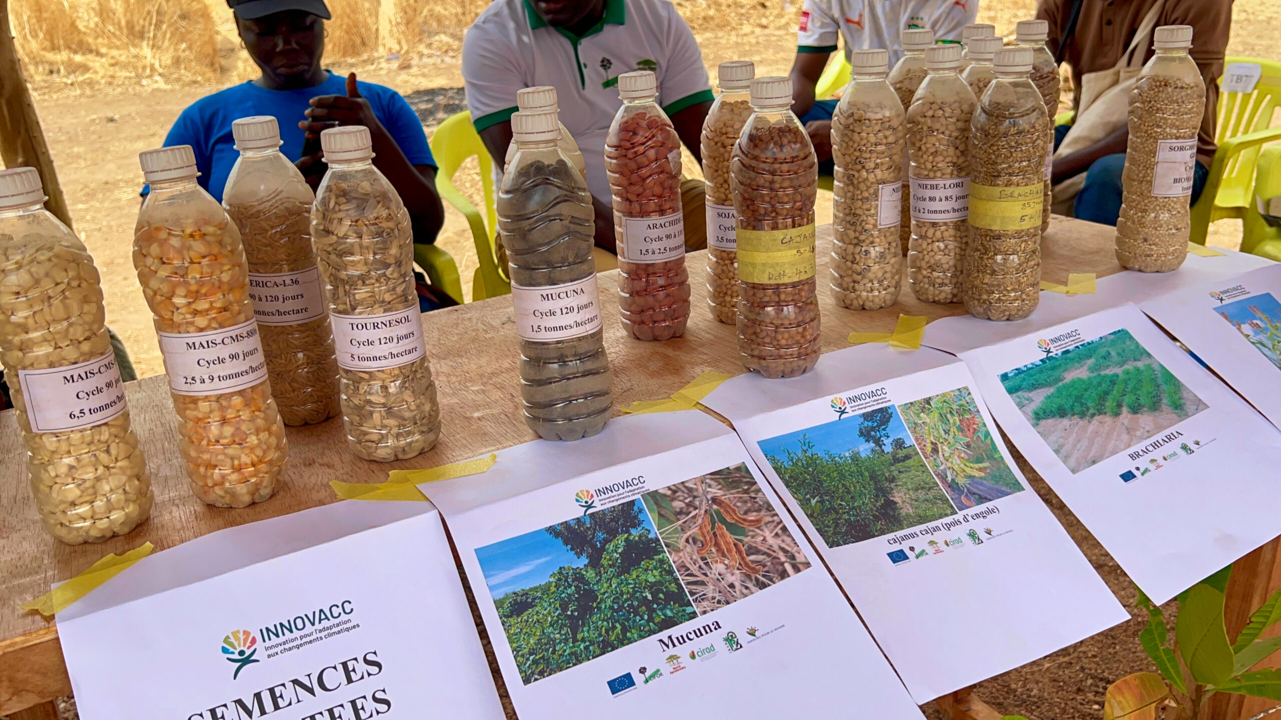Bottles of seeds labelled with different crop varieties and information sheets displayed at an INNOVACC Open Day.