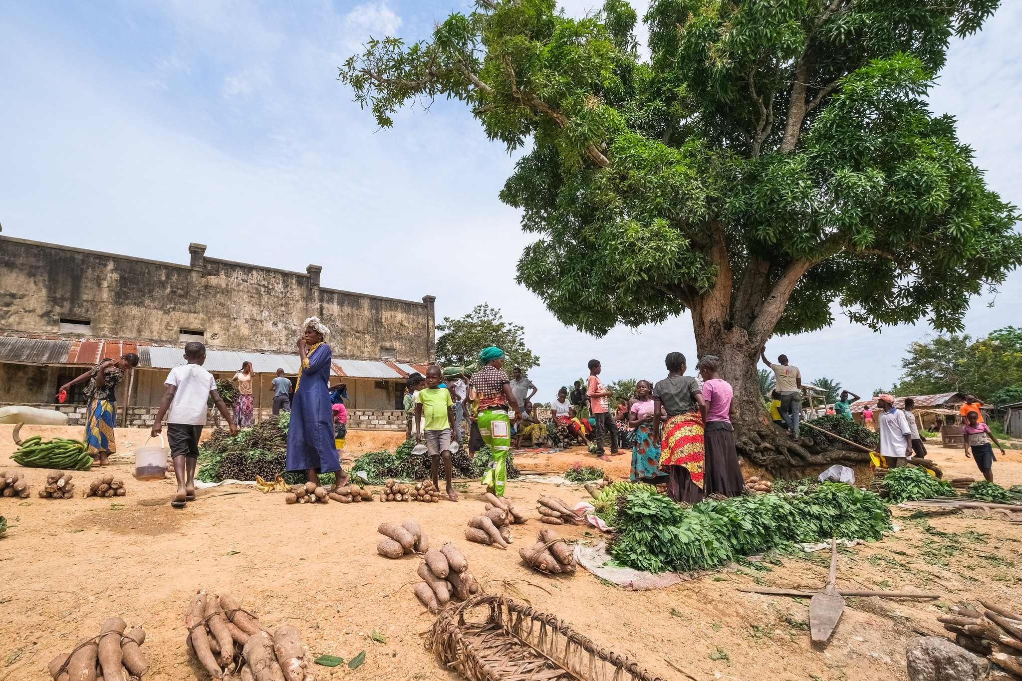 People selling and buying produce at an outdoor market beneath a large tree in Yanonge, Democratic Republic of the Congo.