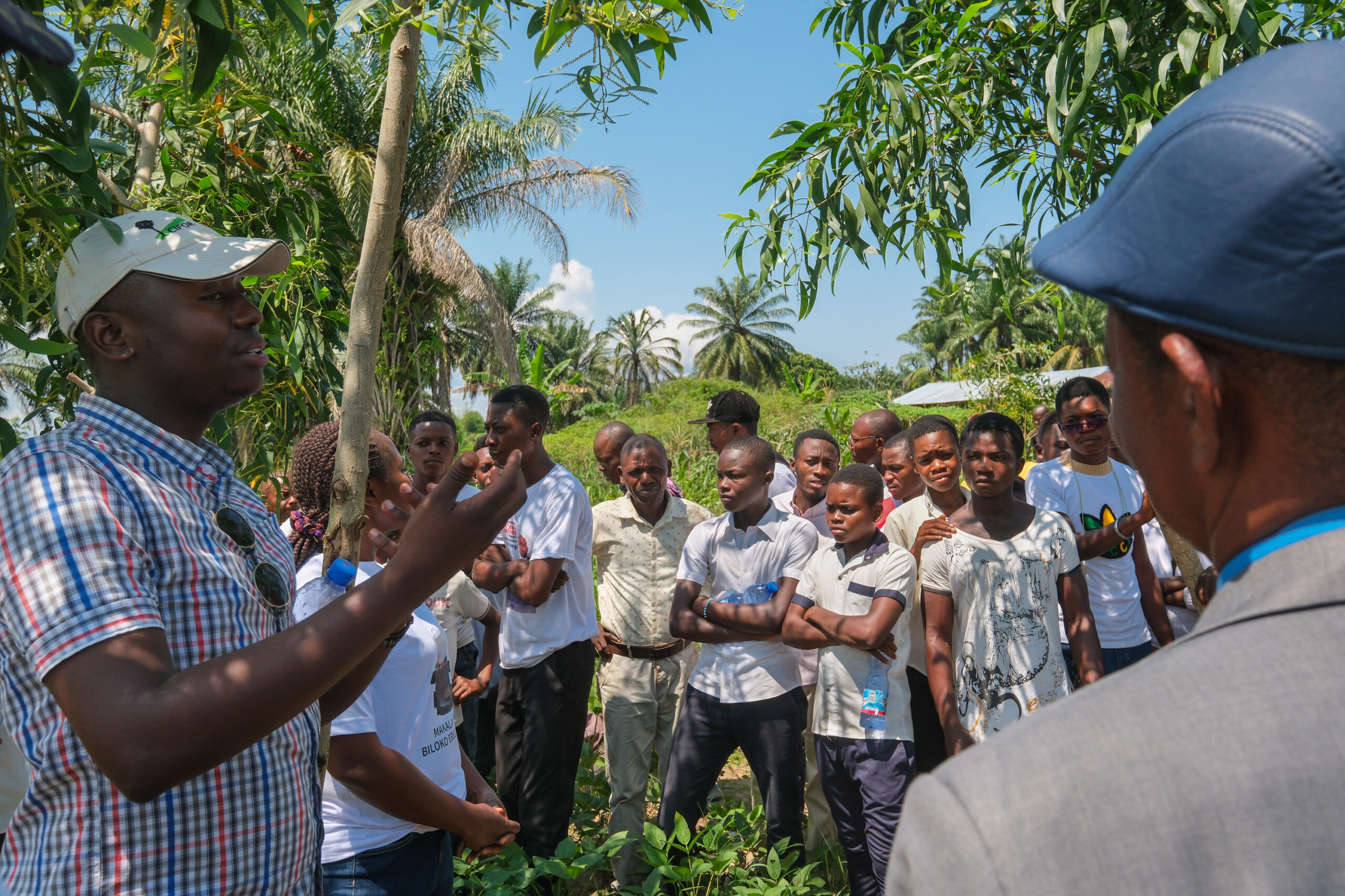 From theory to practice: Building livelihoods through agroforestry