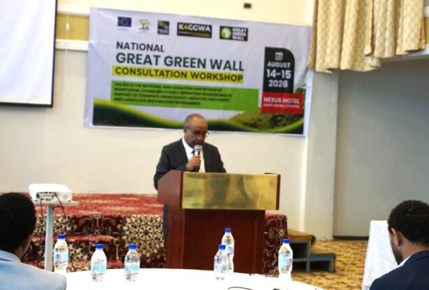 Kebede Yimam speaks at a lectern during the National Great Green Wall Consultation Workshop, with participants seated in the foreground and the workshop banner behind him.
