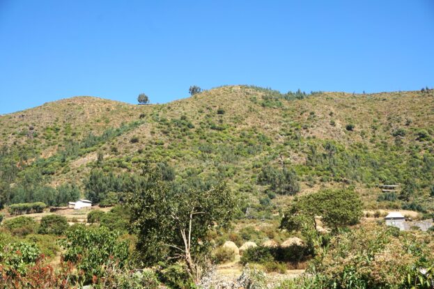 Ethiopia reviews and validates National Great Green Wall Coalition Framework&nbsp;