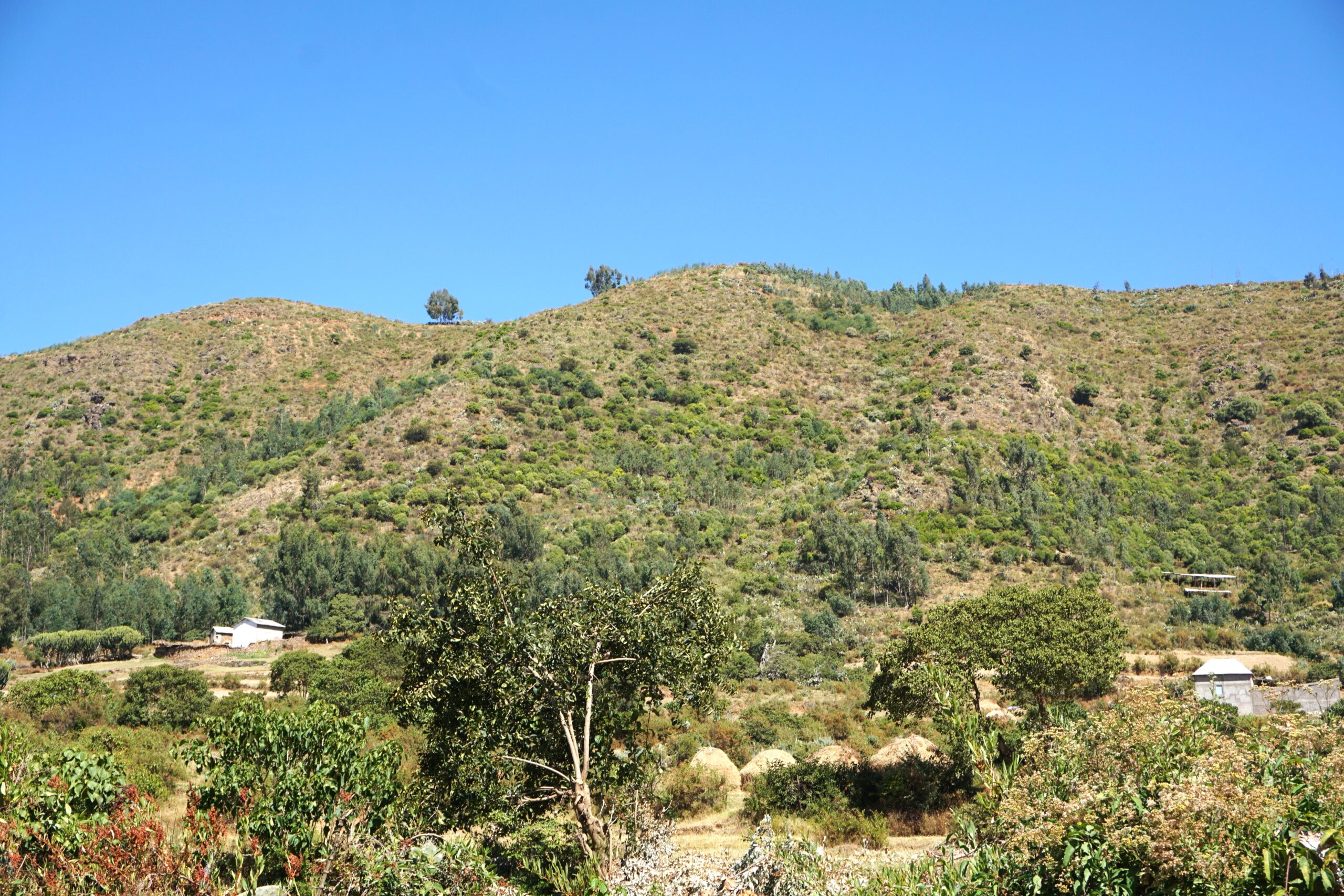 Ethiopia reviews and validates National Great Green Wall Coalition Framework