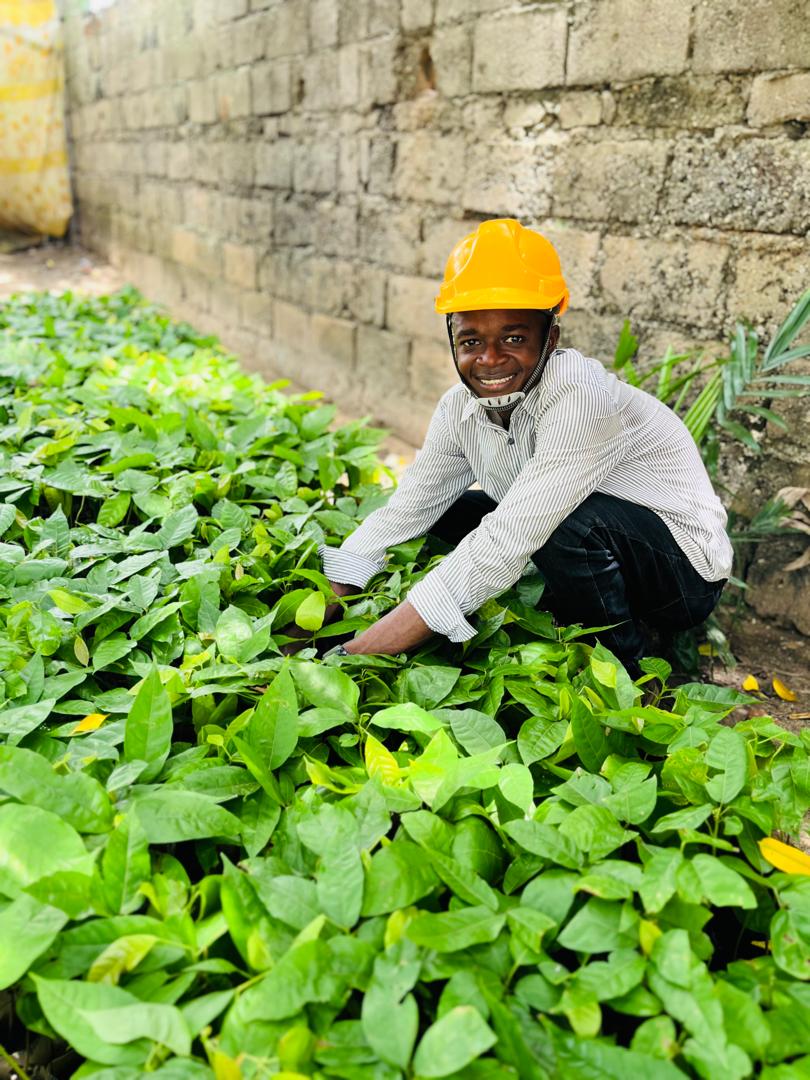 Héritier Litoma Wewe wearing a yellow hard hat and tending young cocoa seedlings in a nursery.