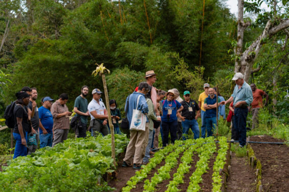 Forum participants gather in a cultivated field at Los Helechos Farm, surrounded by vegetable crops and trees.
