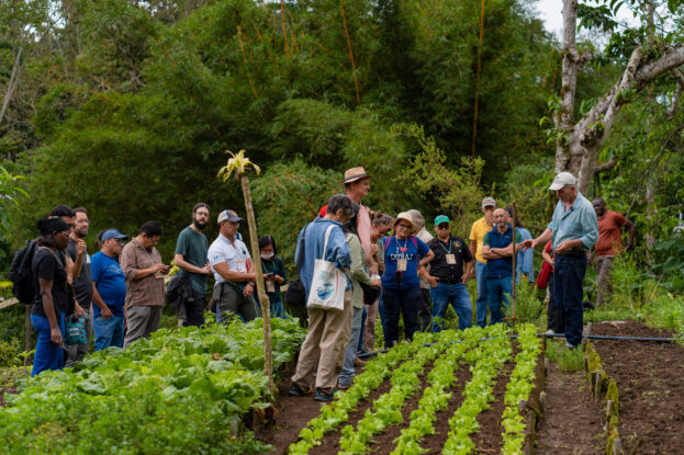 Growing together: Agroecology community strengthens ties in Latin America&nbsp;