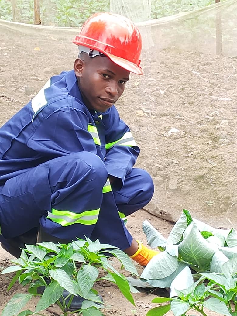André Mosala wearing a red hard hat and tending leafy vegetables in a garden