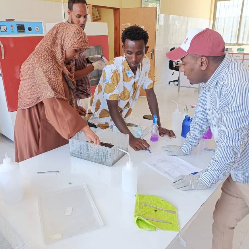 Laboratory training in Addis Ababa and a technician working in the Jigjiga tree seed laboratory.