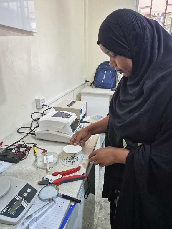 Laboratory training in Addis Ababa and a technician working in the Jigjiga tree seed laboratory.