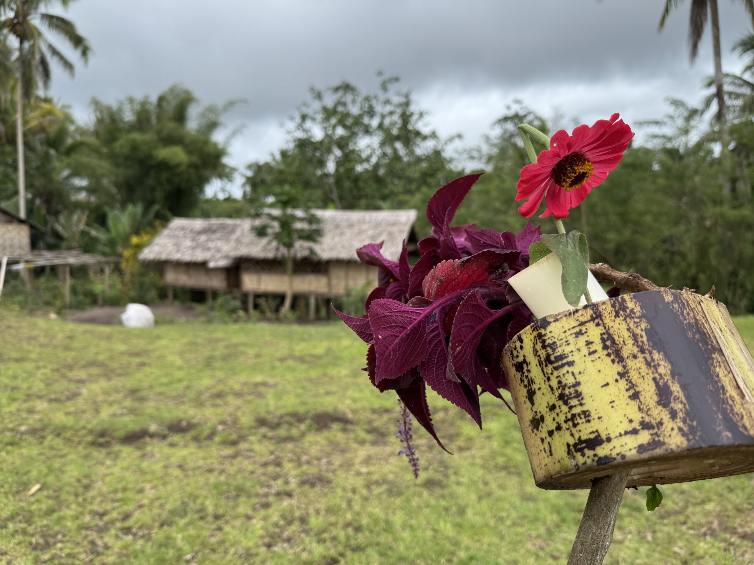 Colourful flowers and foliage arranged in a handmade container in front of a traditional raised house in Kawowogi, Papua New Guinea.