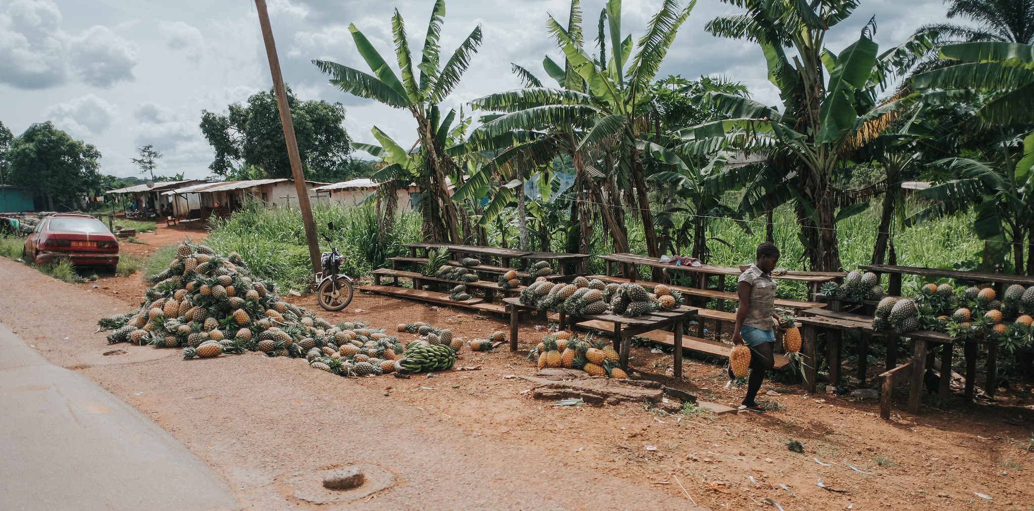 A roadside vendor sells pineapples displayed on wooden benches and on the ground beneath banana trees in Cameroon.