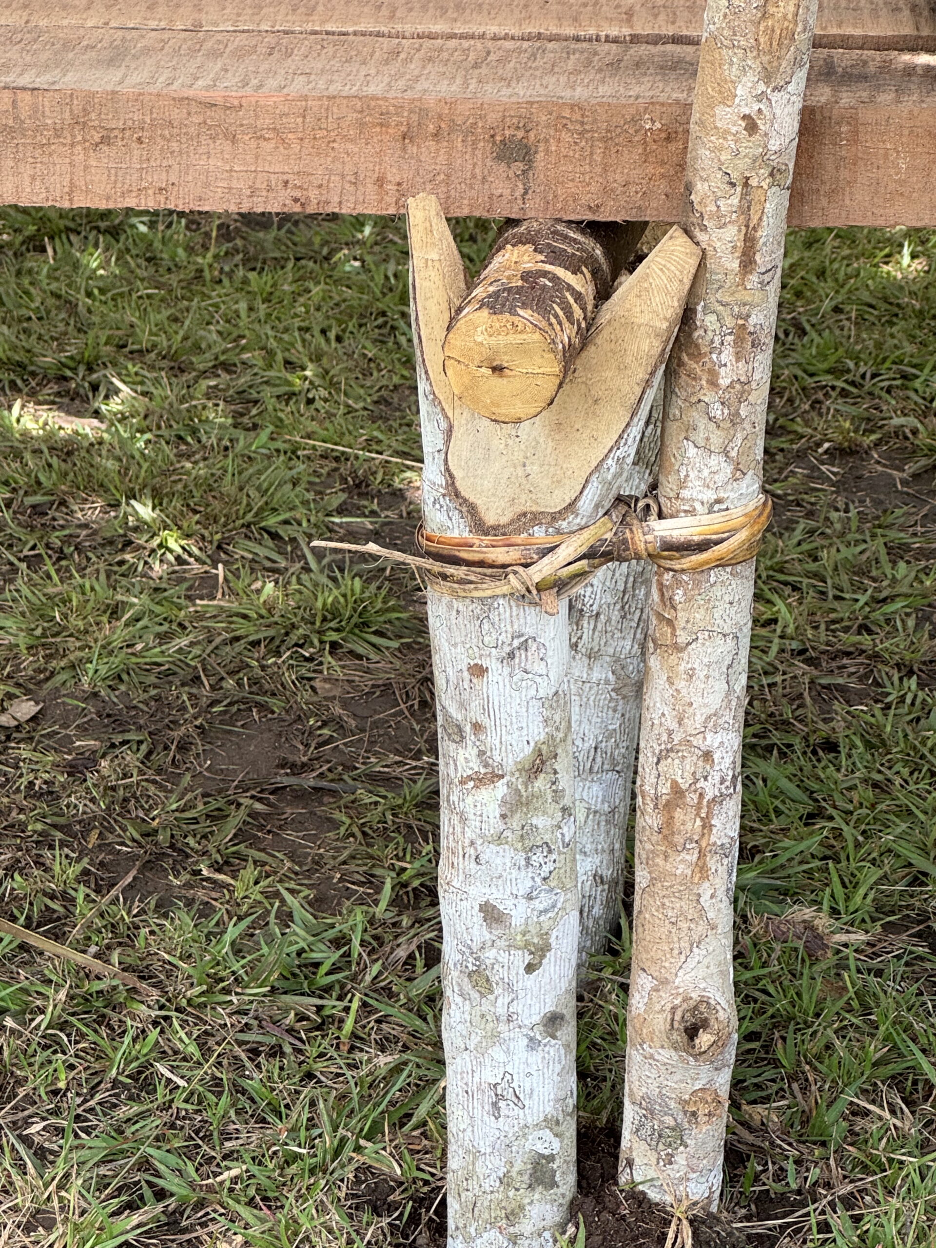Close-up of a wooden bench support made from tree branches tied together with plant fibres beneath a timber seat.