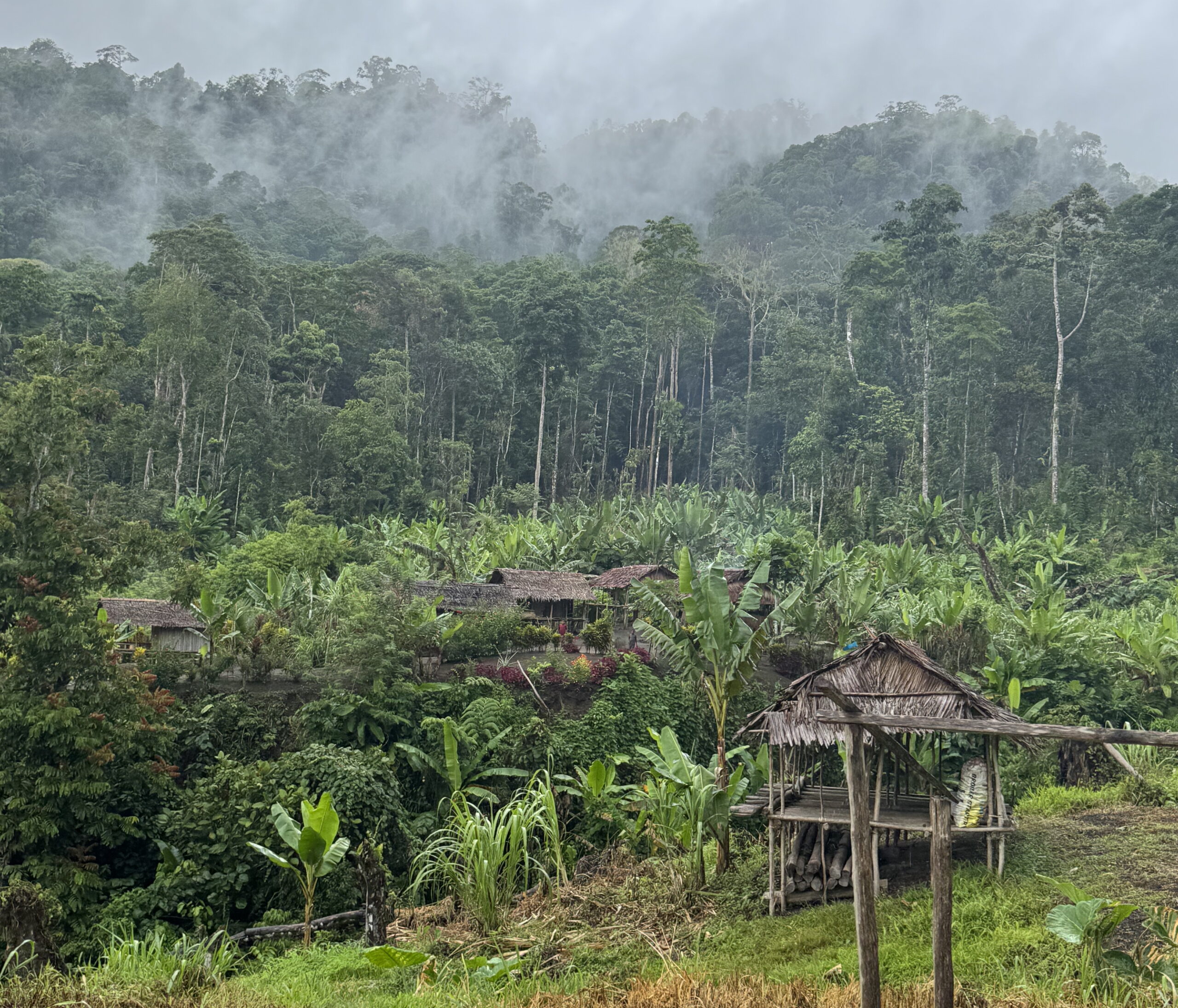 The trees it takes to build a home