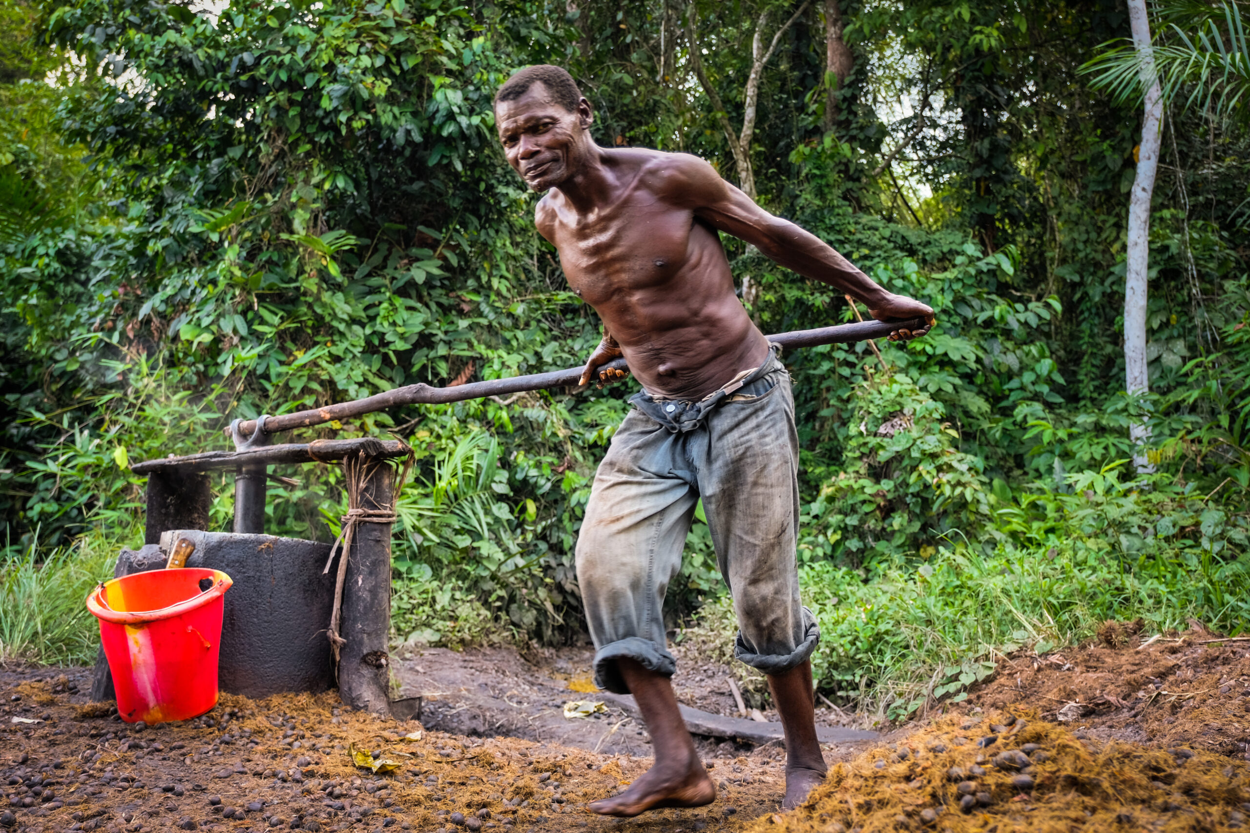 A man manually pressing boiled palm fruits to extract oil during traditional processing.