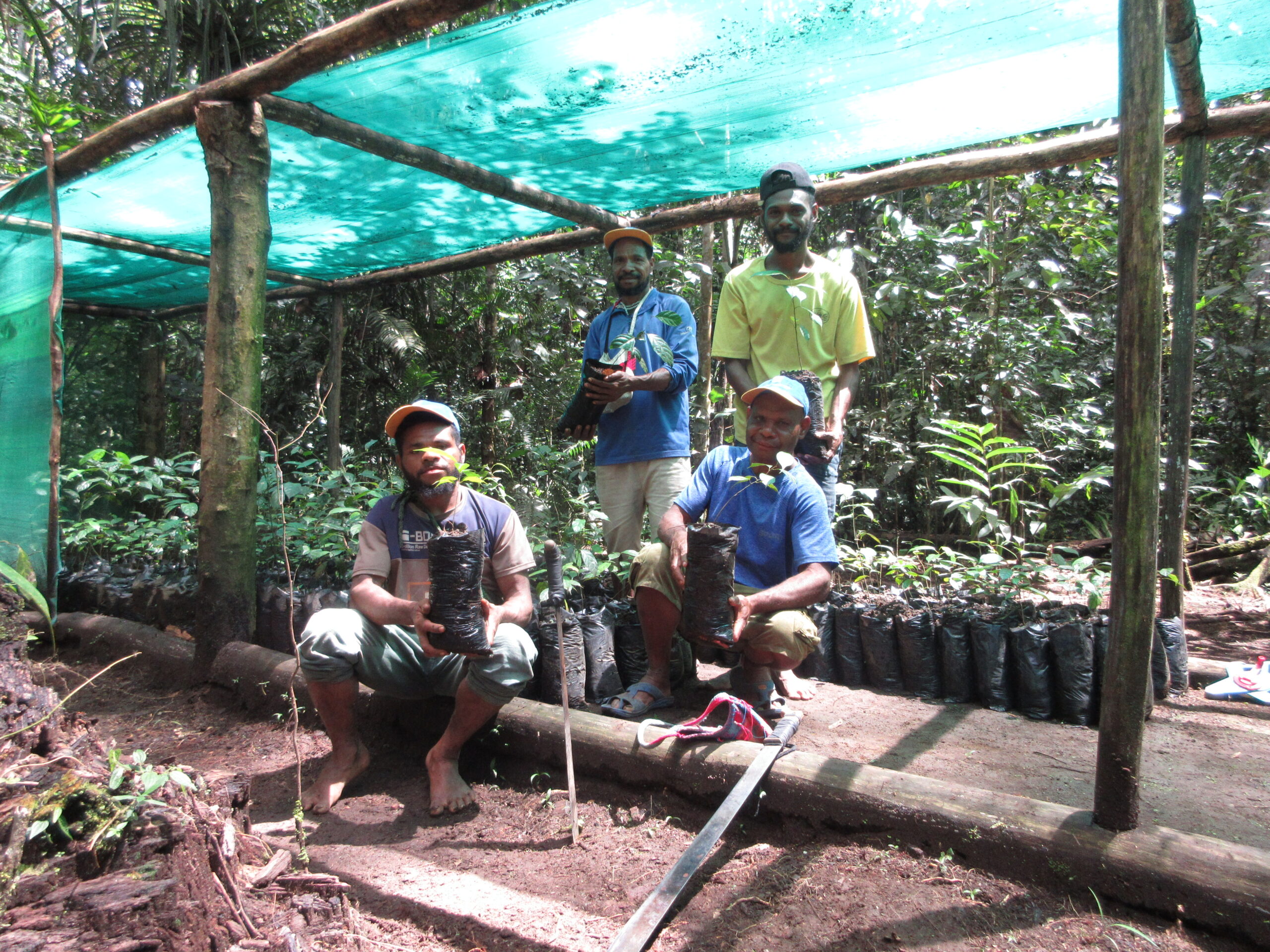 Four men hold young seedlings in black nursery bags beneath a shade-net structure surrounded by tropical forest.